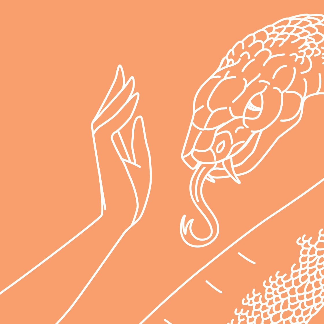Zoom-Peach-03